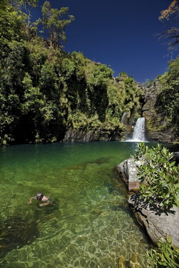 Crédito: David Ayronn / RBC