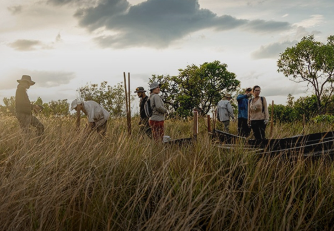 Equipe em campo no Cerrado