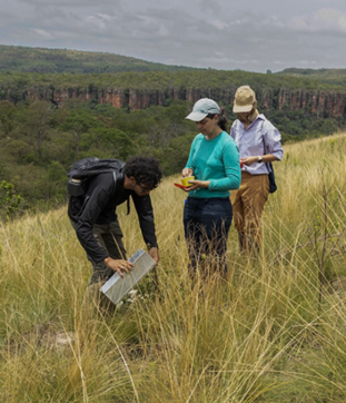 Pesquisadores trabalhando com pequenos mamíferos