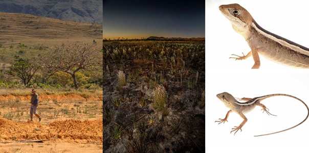Ciência para orientar prioridades