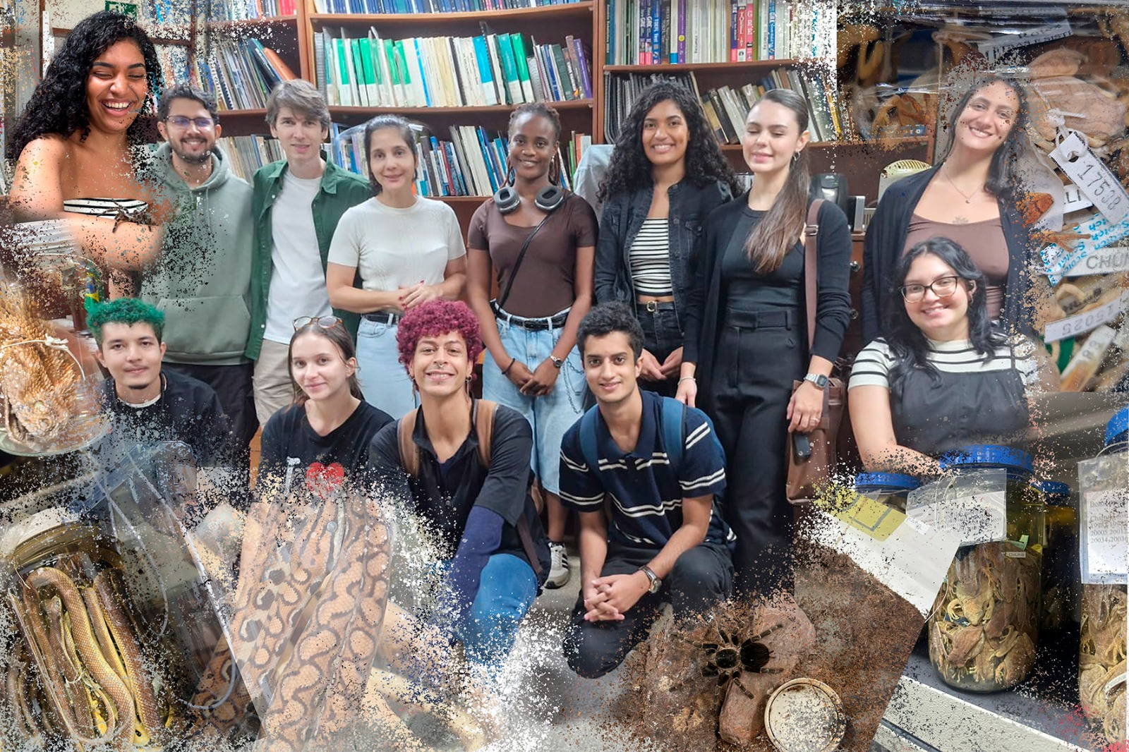 Nova espécie de perereca