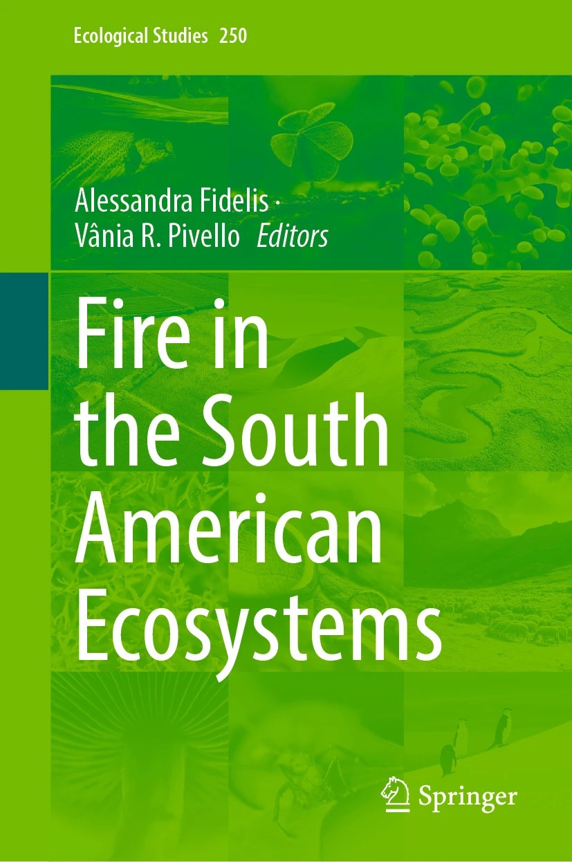 Paisagem de Mato Grosso