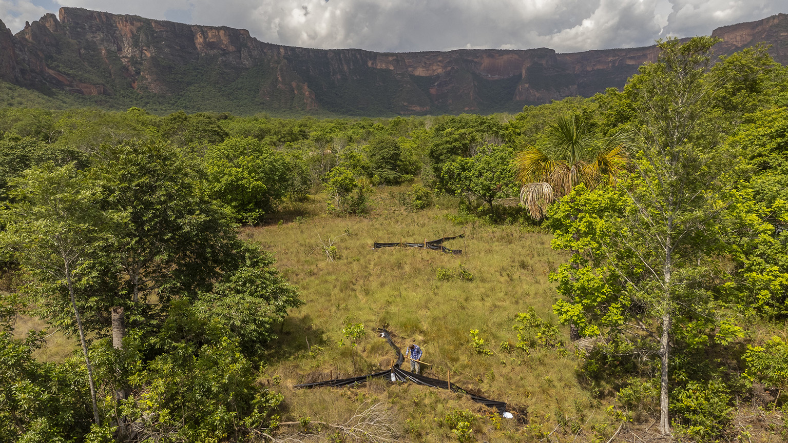 Paisagem de Mato Grosso