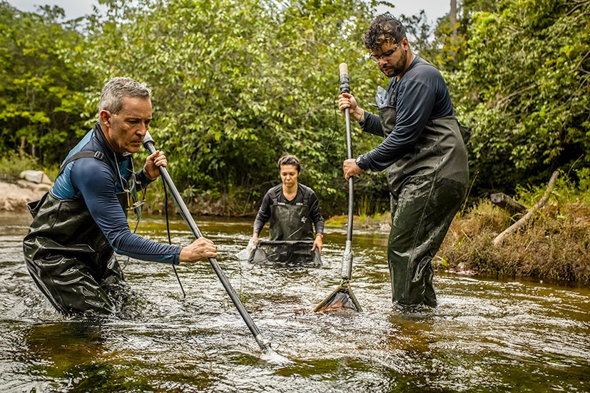 Paisagem Equipe Técnica
