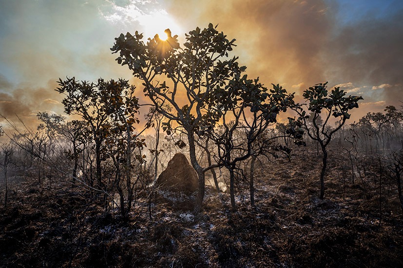 Foto Principal mudanças climáticas