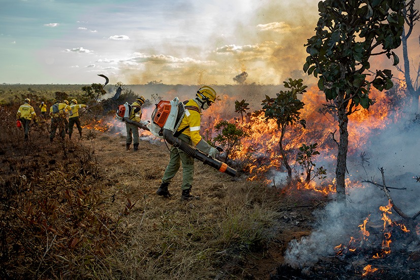 Paisagem Equipe Técnica