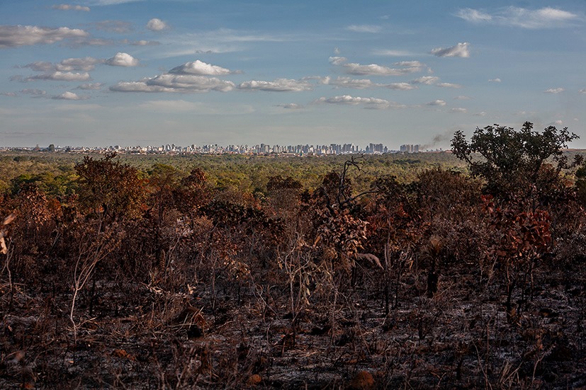 Paisagem Equipe Técnica