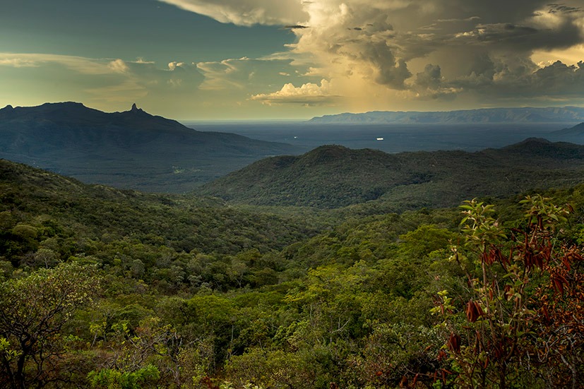 Imagem principal PA4