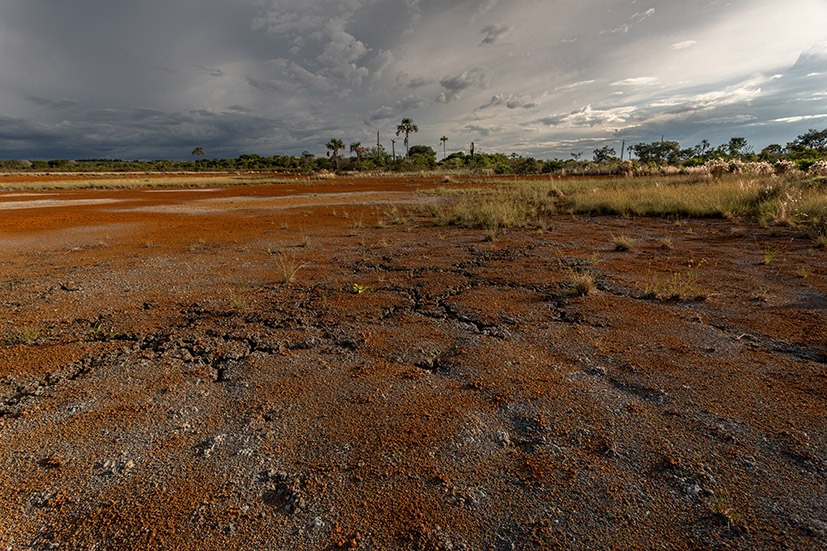 Imagem principal PA4