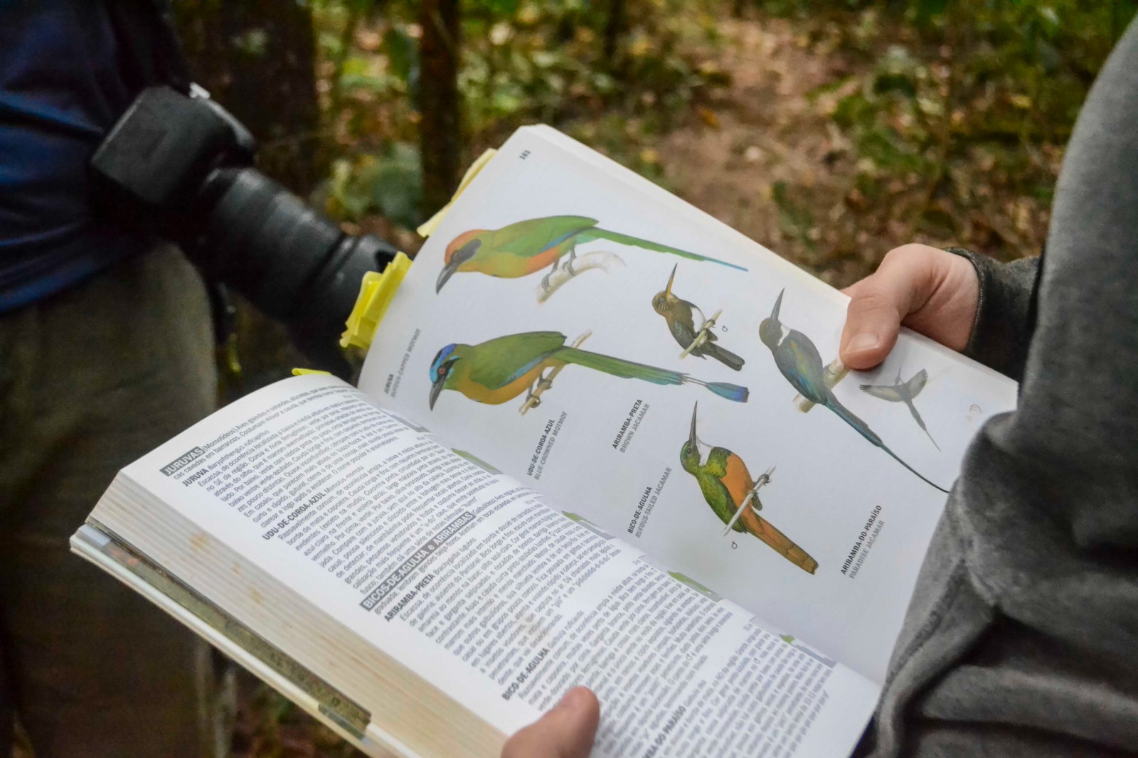 Imagem 1.jpeg da expedicao de expedicoes/bioblitz_05_26