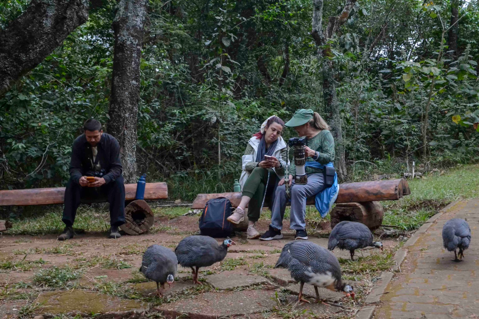 Imagem 14.jpeg da expedicao de expedicoes/bioblitz_05_26