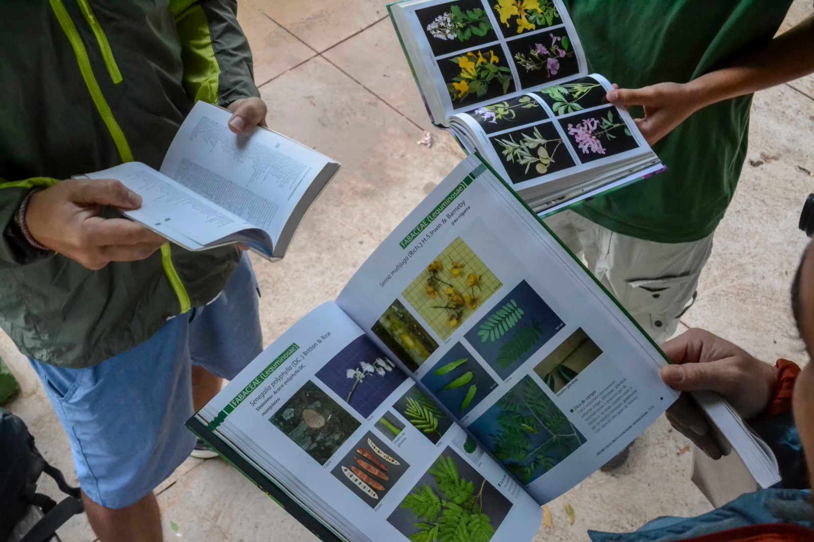 Imagem 17.jpeg da expedicao de expedicoes/bioblitz_05_26