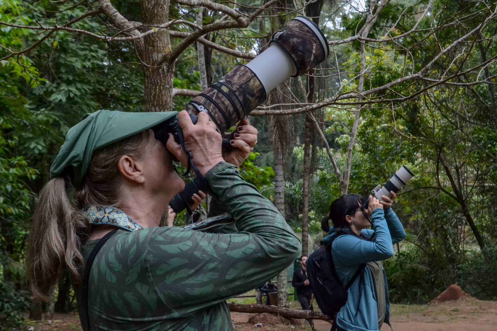Imagem 7.jpeg da expedicao de expedicoes/bioblitz_05_26