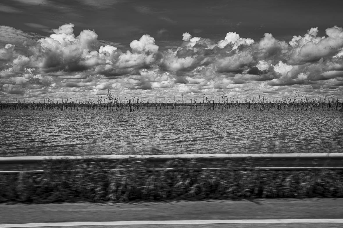 Imagem 101 da Expedição de Reconhecimento de expedicoes/rondonia_25