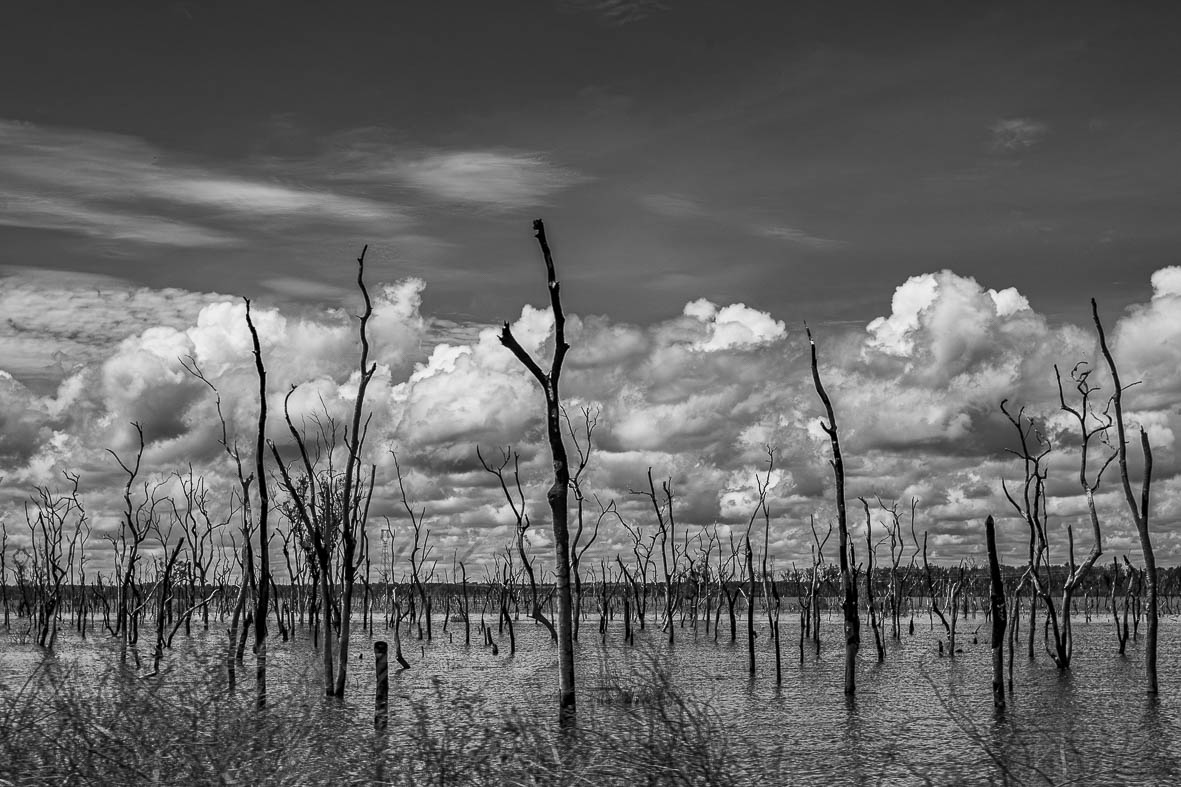 Imagem 102 da Expedição de Reconhecimento de expedicoes/rondonia_25