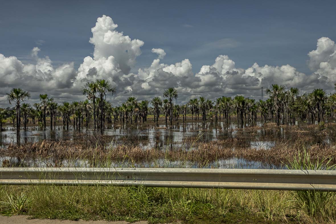 Imagem 104 da Expedição de Reconhecimento de expedicoes/rondonia_25