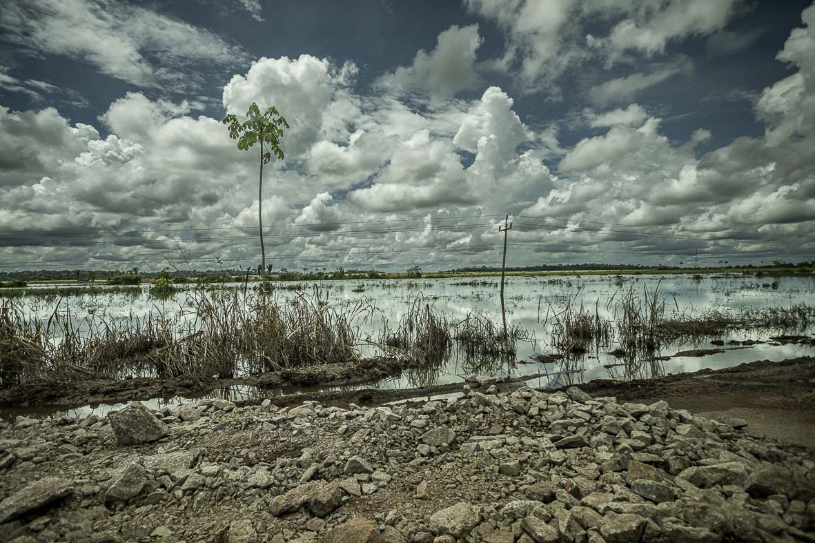 Imagem 106 da Expedição de Reconhecimento de expedicoes/rondonia_25