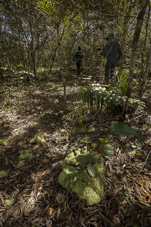 Imagem 51 da Expedição de Reconhecimento de expedicoes/rondonia_25