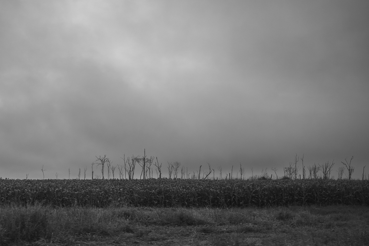 Imagem 53 da Expedição de Reconhecimento de expedicoes/rondonia_25