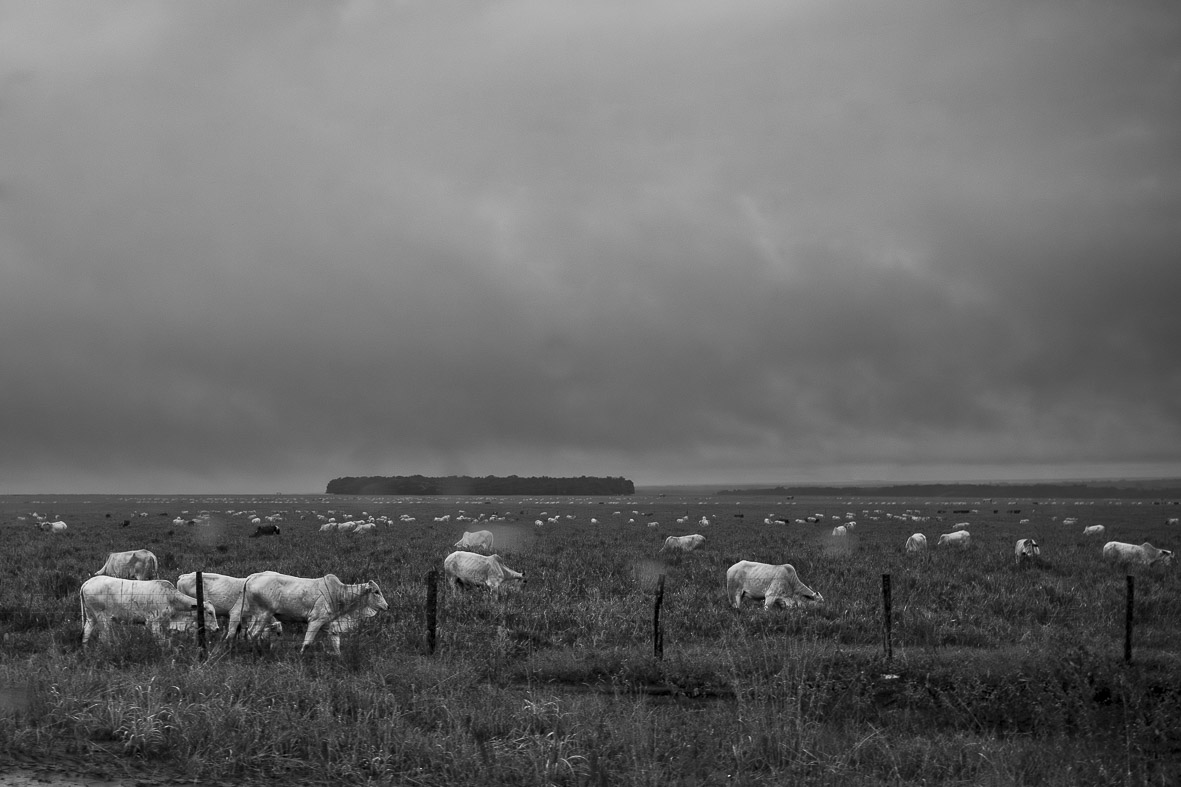 Imagem 54 da Expedição de Reconhecimento de expedicoes/rondonia_25