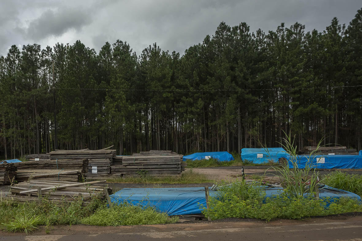 Imagem 56 da Expedição de Reconhecimento de expedicoes/rondonia_25