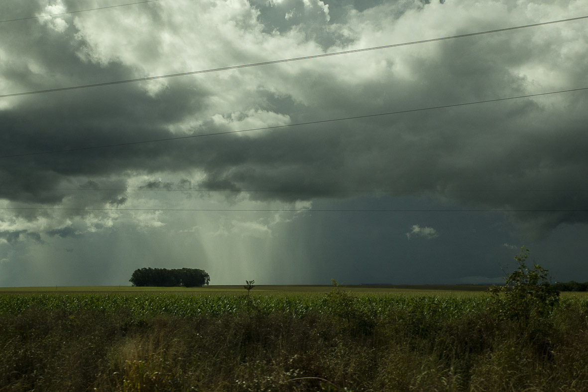 Imagem 59 da Expedição de Reconhecimento de expedicoes/rondonia_25