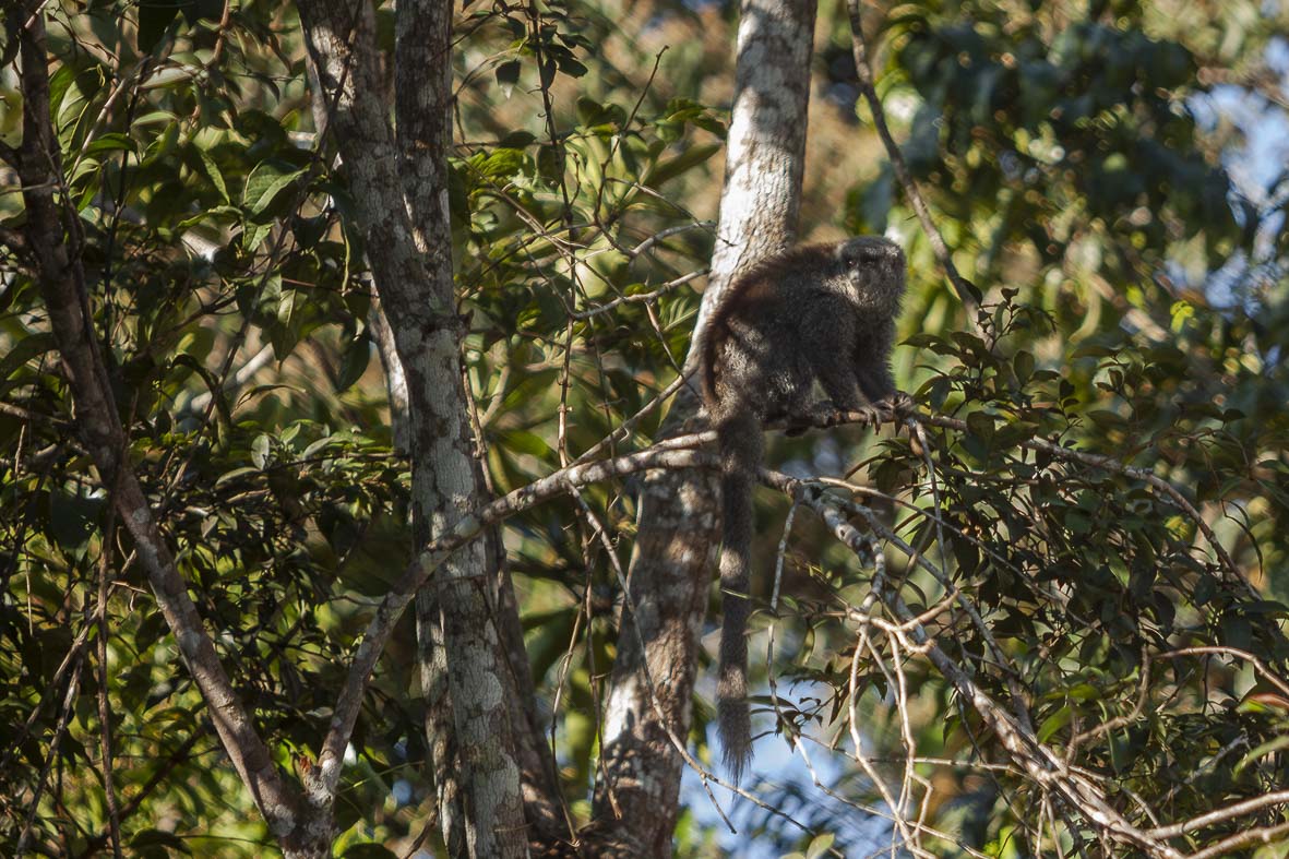 Imagem 64 da Expedição de Reconhecimento de expedicoes/rondonia_25