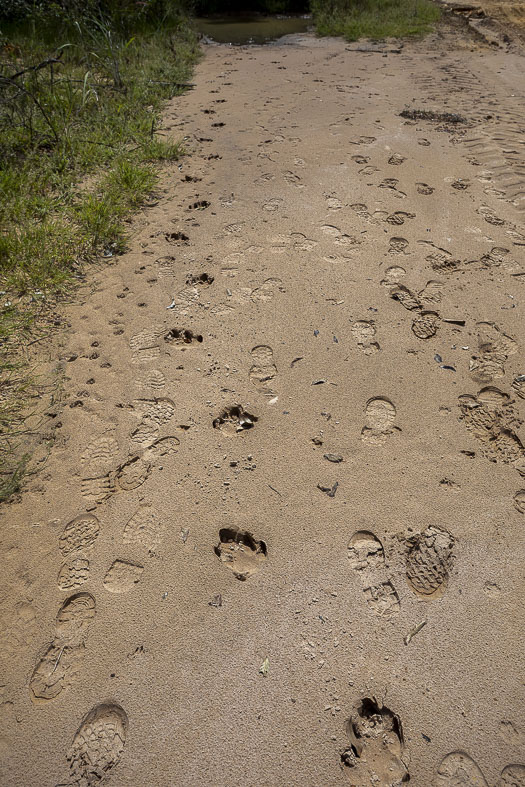 Imagem 66 da Expedição de Reconhecimento de expedicoes/rondonia_25