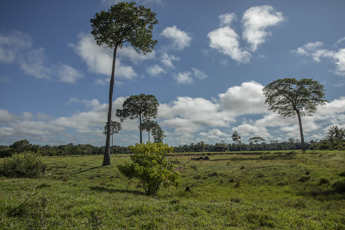 Imagem 68 da Expedição de Reconhecimento de expedicoes/rondonia_25