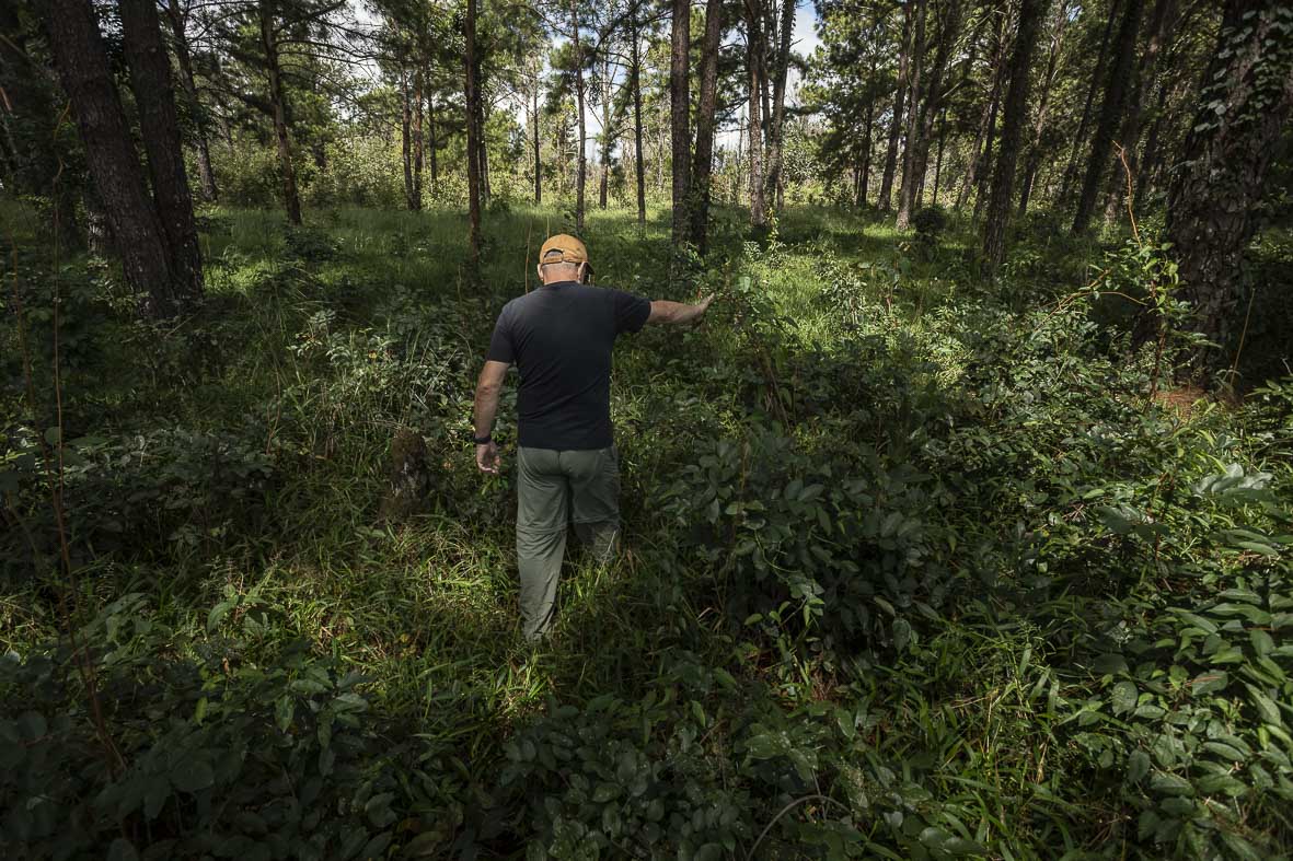 Imagem 76 da Expedição de Reconhecimento de expedicoes/rondonia_25