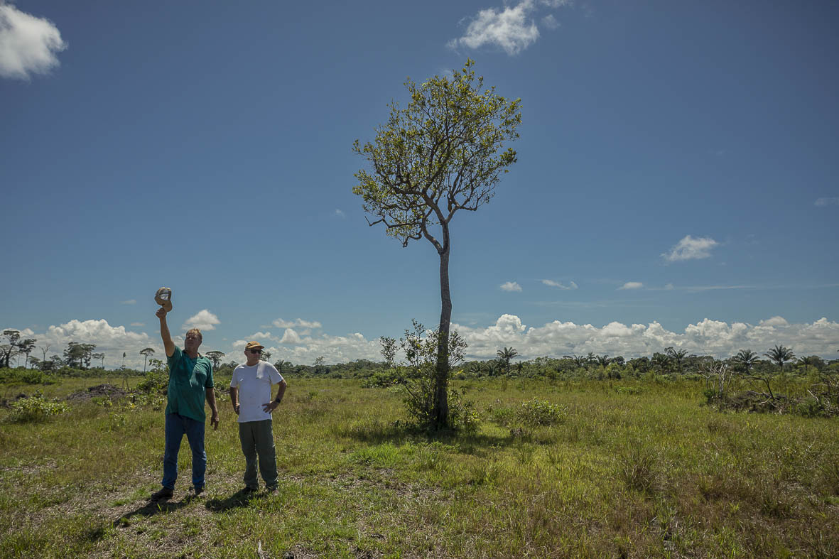 Imagem 86 da Expedição de Reconhecimento de expedicoes/rondonia_25