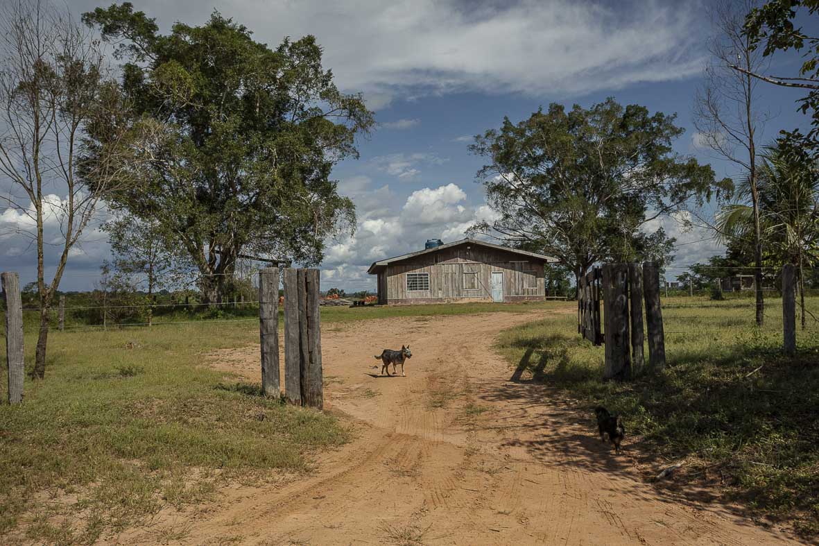 Imagem 89 da Expedição de Reconhecimento de expedicoes/rondonia_25