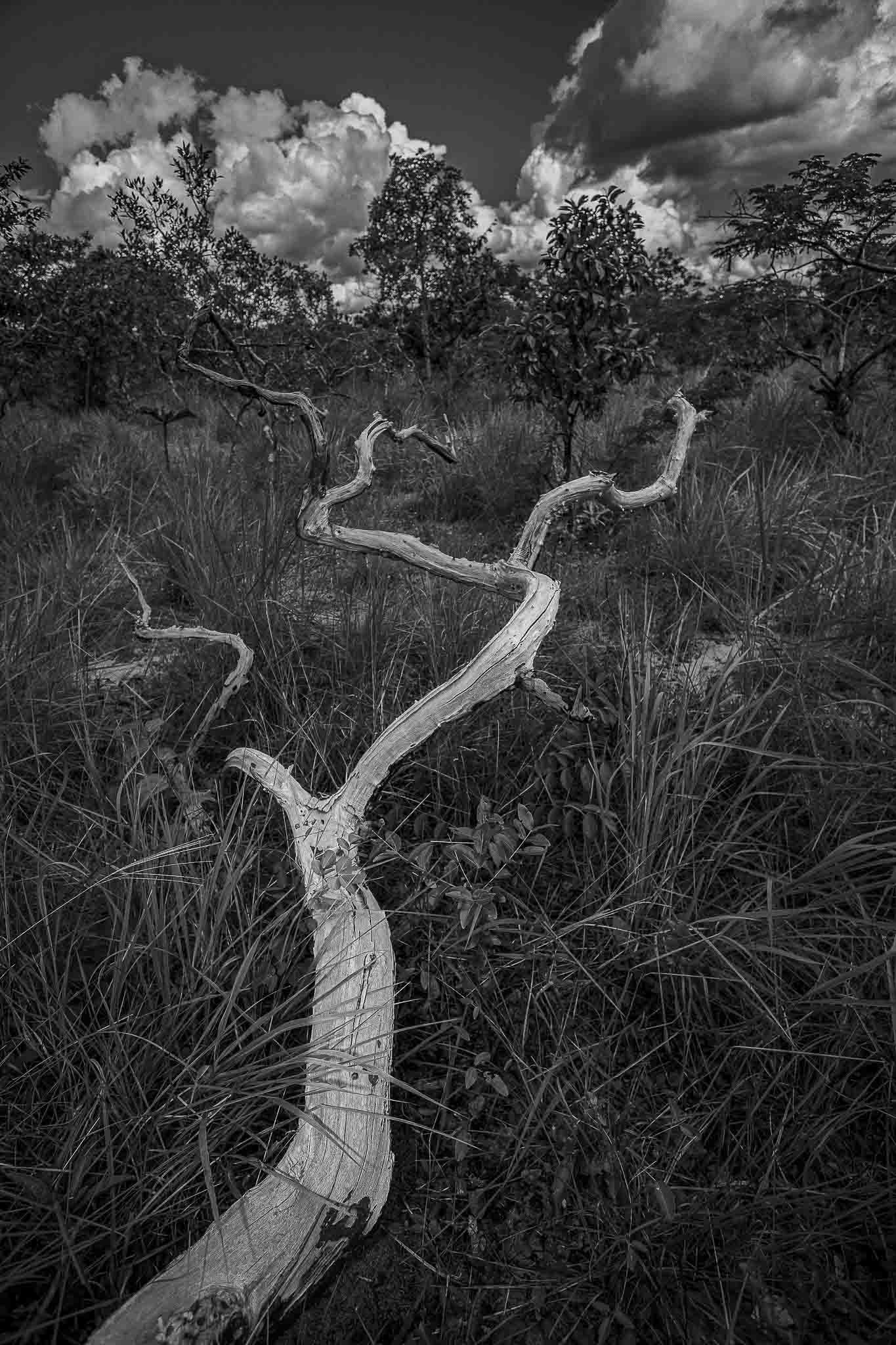 Imagem 14 da viagem de reconhecimento de expedicoes/urbanoSantos