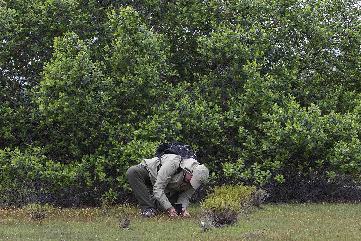 Imagem 26 da viagem de reconhecimento de expedicoes/urbanoSantos