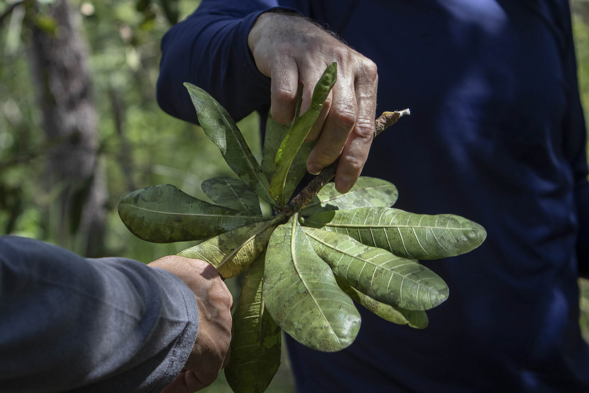 Imagem 28 da viagem de reconhecimento de expedicoes/urbanoSantos