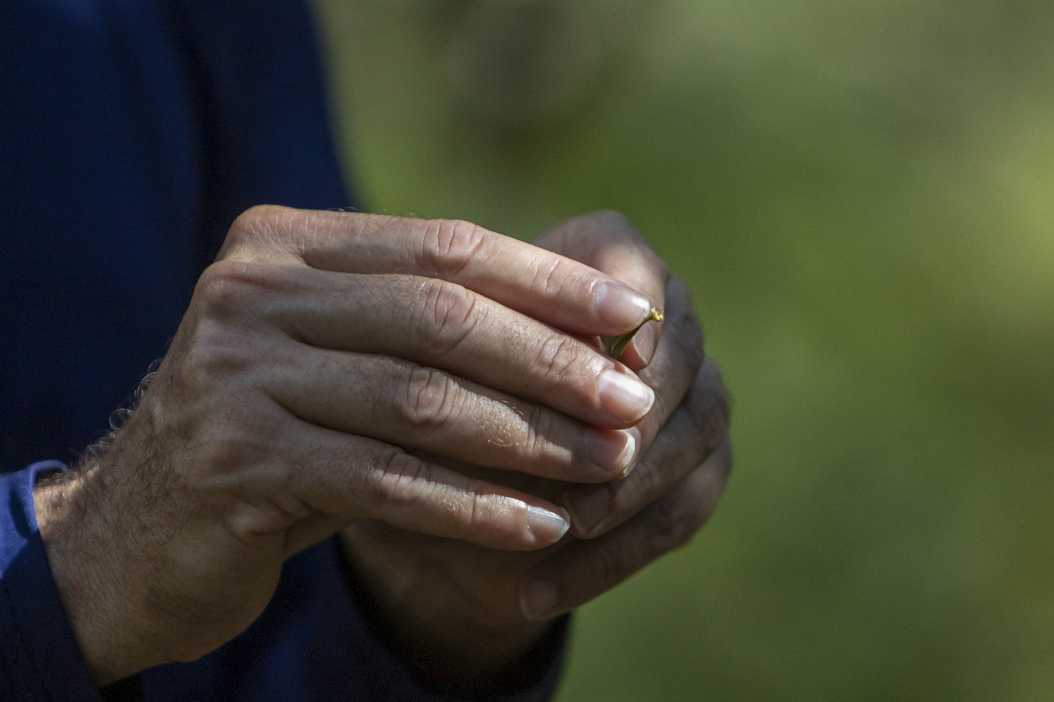 Imagem 29 da viagem de reconhecimento de expedicoes/urbanoSantos