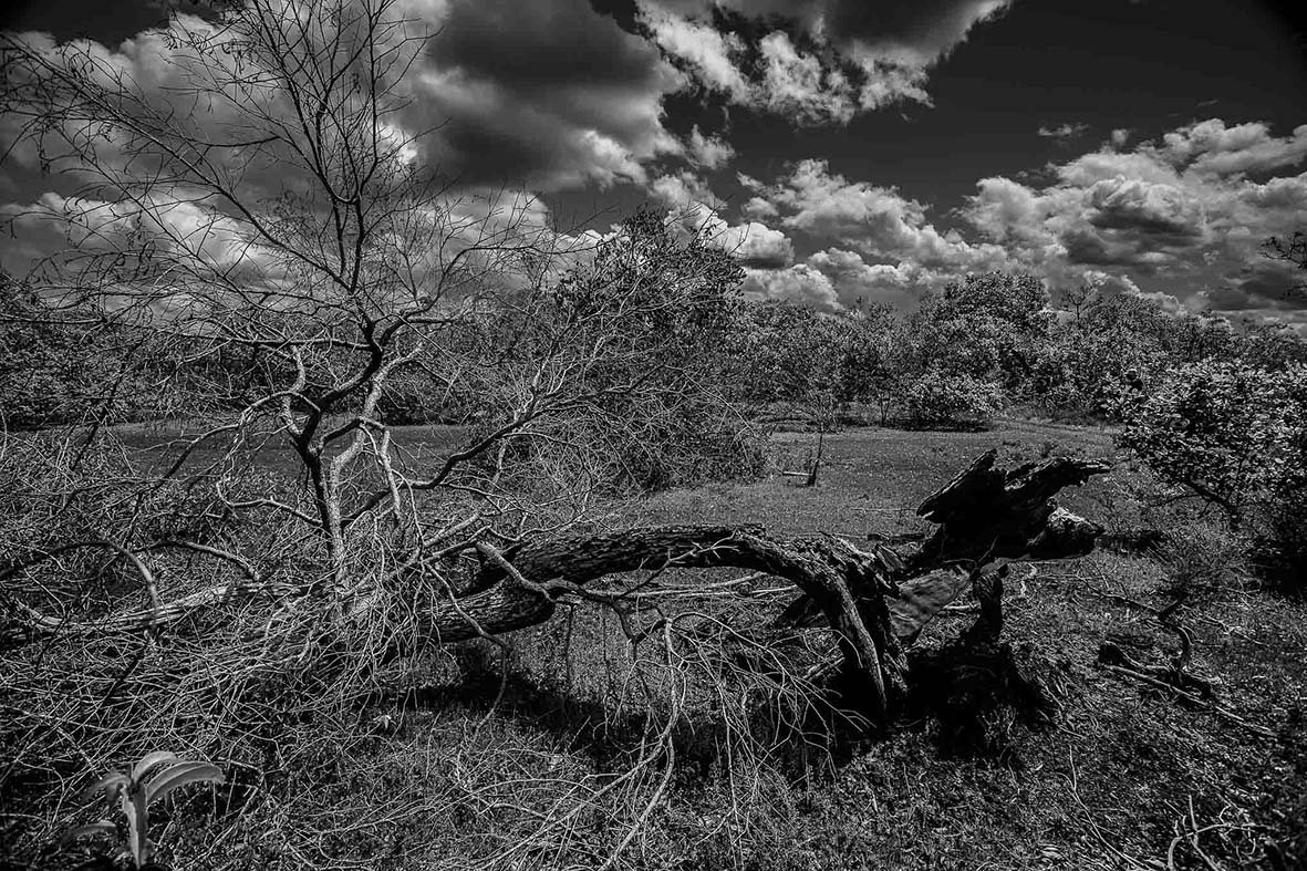 Imagem 35 da viagem de reconhecimento de expedicoes/urbanoSantos