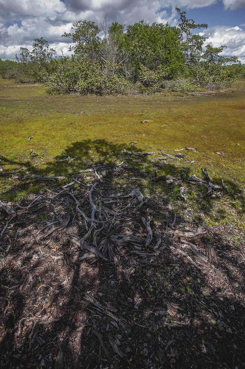 Imagem 36 da viagem de reconhecimento de expedicoes/urbanoSantos