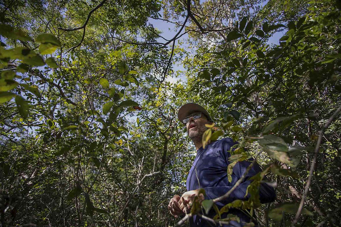 Imagem 42 da viagem de reconhecimento de expedicoes/urbanoSantos