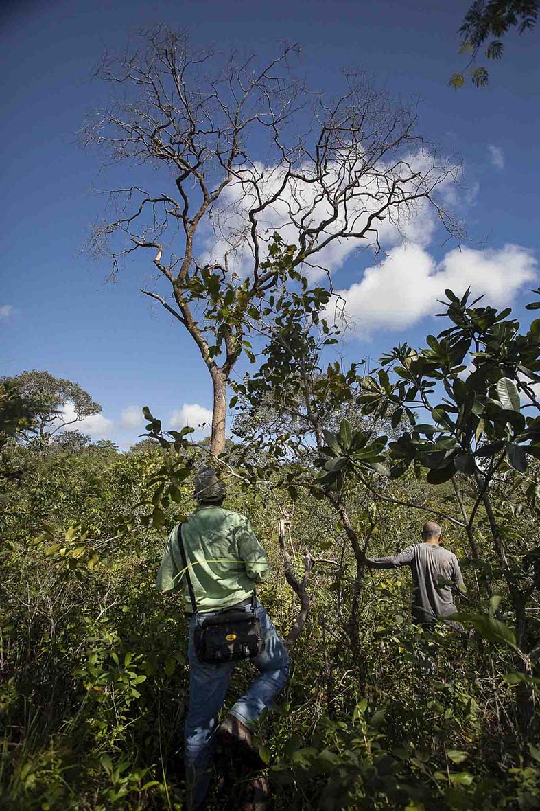 Imagem 43 da viagem de reconhecimento de expedicoes/urbanoSantos