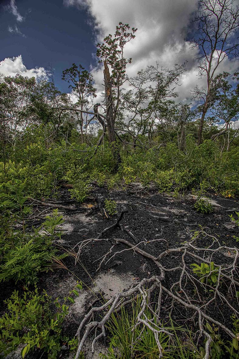 Imagem 45 da viagem de reconhecimento de expedicoes/urbanoSantos