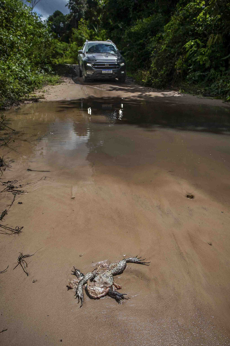 Imagem 46 da viagem de reconhecimento de expedicoes/urbanoSantos