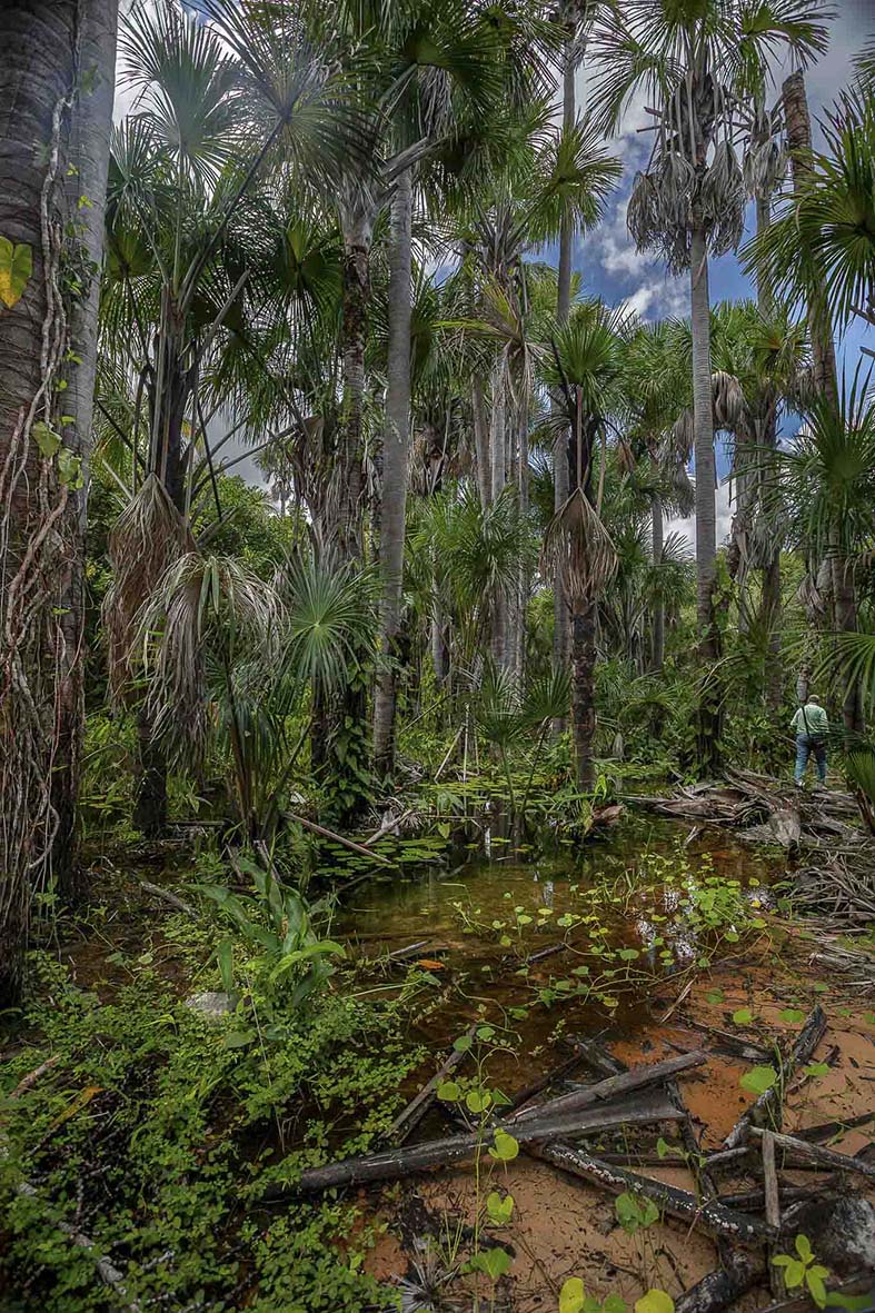 Imagem 47 da viagem de reconhecimento de expedicoes/urbanoSantos