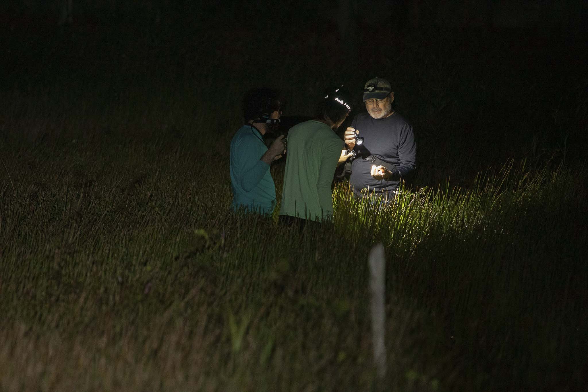 Imagem 5 da viagem de reconhecimento de expedicoes/urbanoSantos