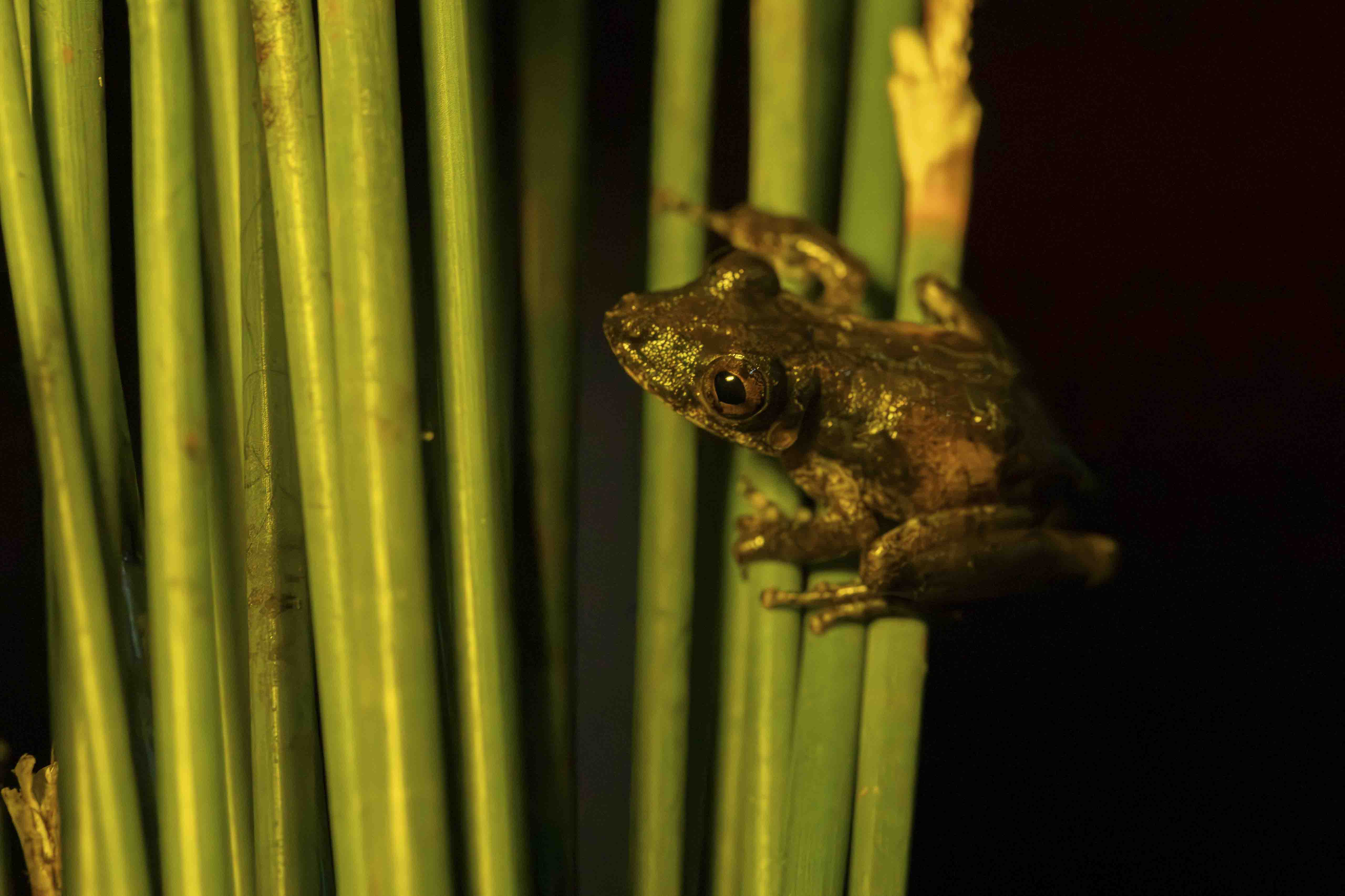 Imagem 6 da viagem de reconhecimento de expedicoes/urbanoSantos