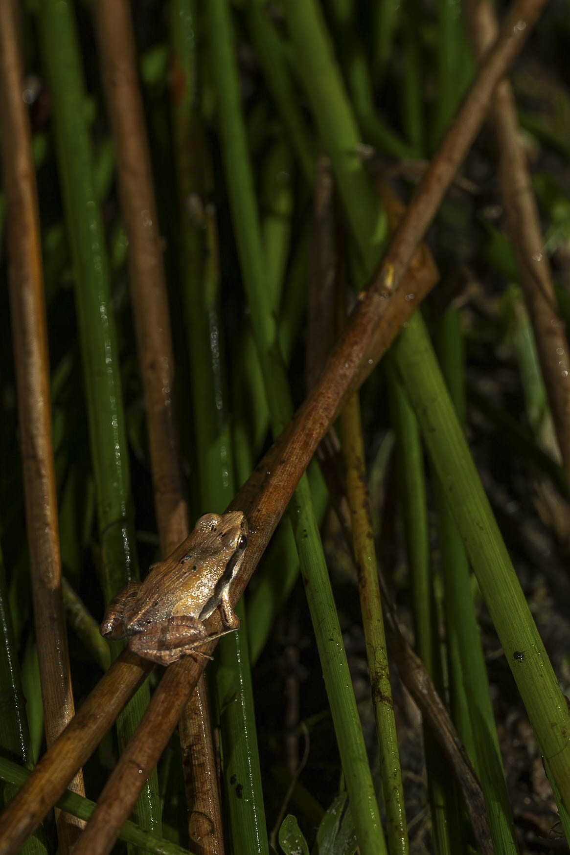 Imagem 8 da viagem de reconhecimento de expedicoes/urbanoSantos