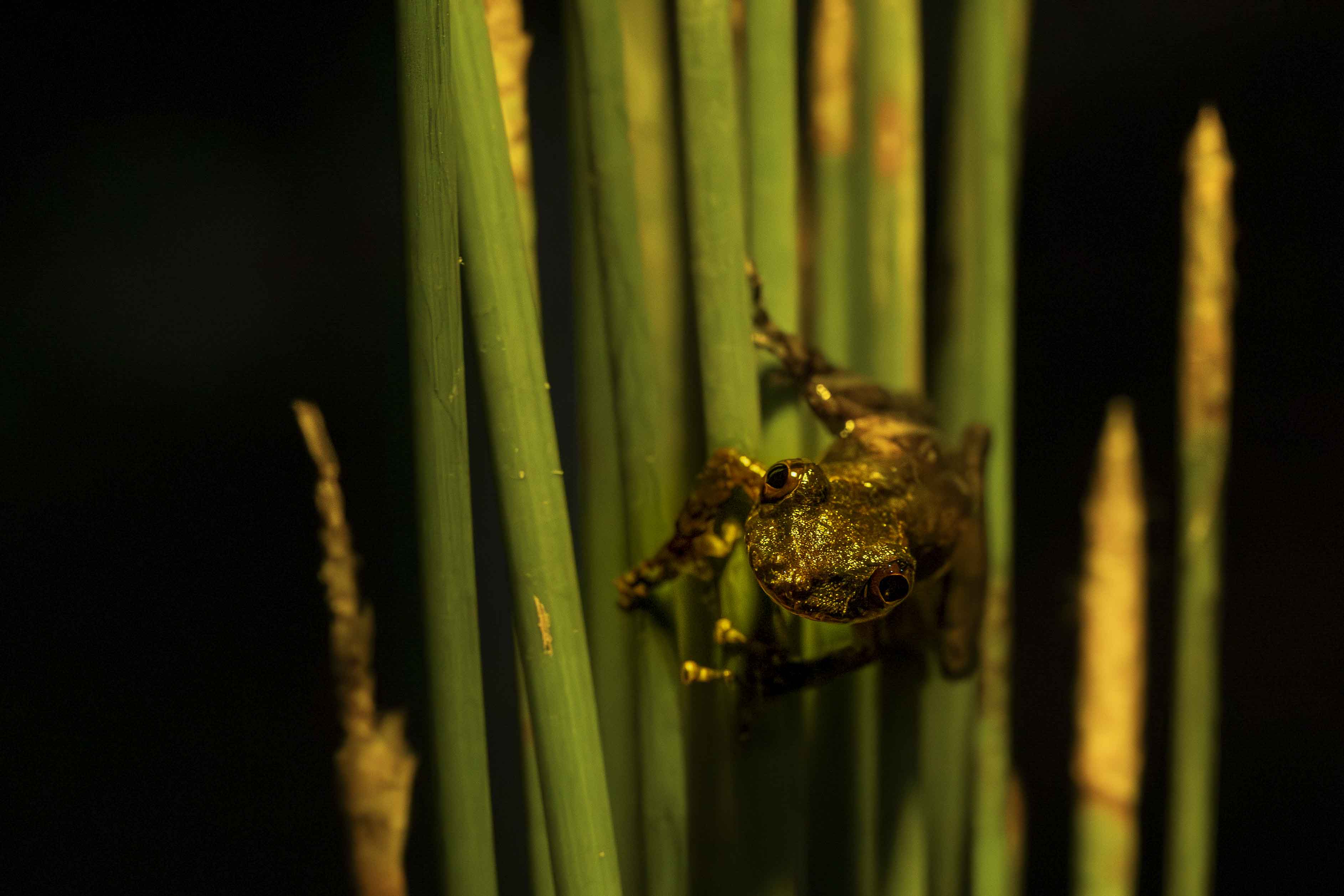 Imagem 9 da viagem de reconhecimento de expedicoes/urbanoSantos