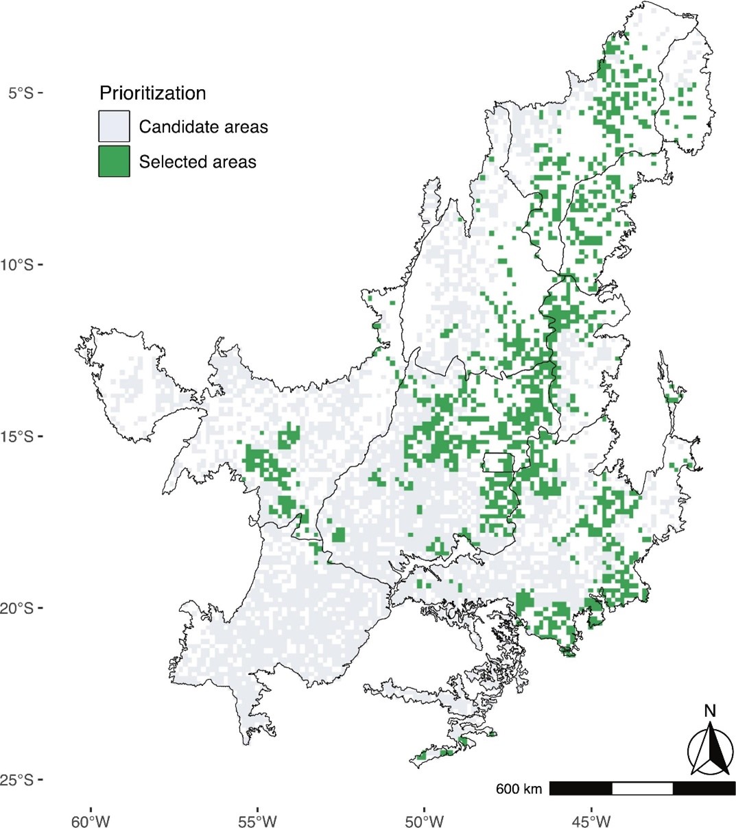 Professor Reuber Brandão no programa CB.Agro.