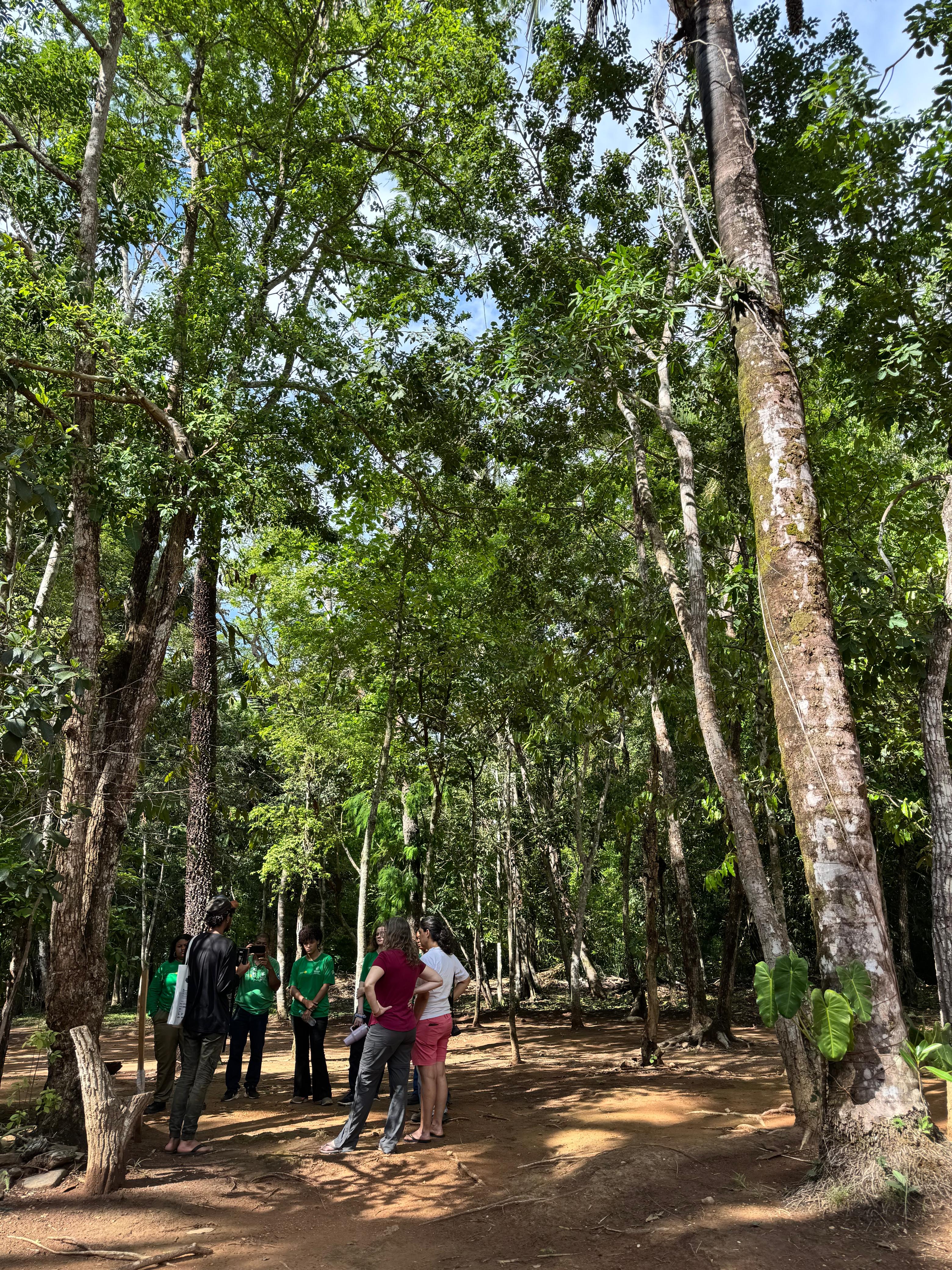 Professor Reuber Brandão no programa CB.Agro.