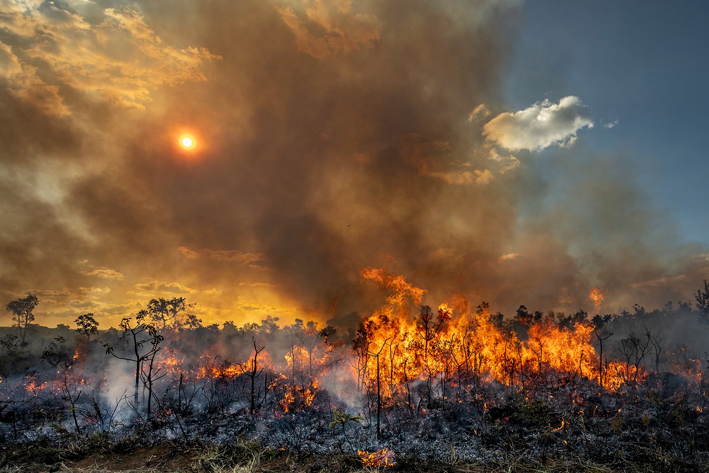 Área de Cerrado devastada em Carolina, no Maranhão.